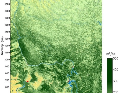 Waldkarte Zentral-Sibirien