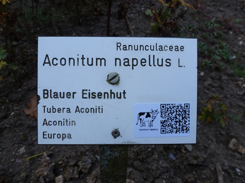 Qr Codes Im Botanischen Garten Uni Giessen Uninews Online