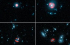 Bild: ALMA (ESO/NRAO/NAOJ), Y. Hezaveh et al.