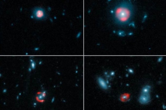 Bild: ALMA (ESO/NRAO/NAOJ), Y. Hezaveh et al.